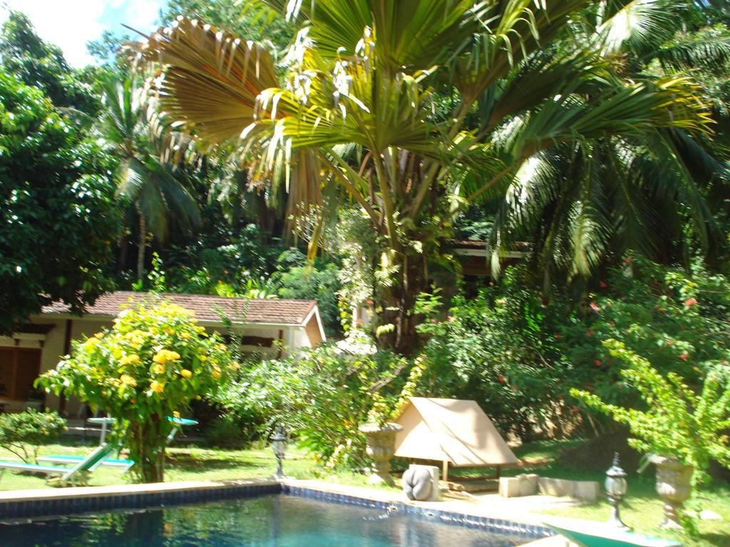 Cote Sud - Unique Villa & Bungalows Intendance Road Takamaka Room photo