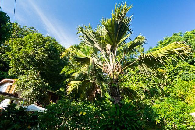Cote Sud - Unique Villa & Bungalows Intendance Road Takamaka Room photo
