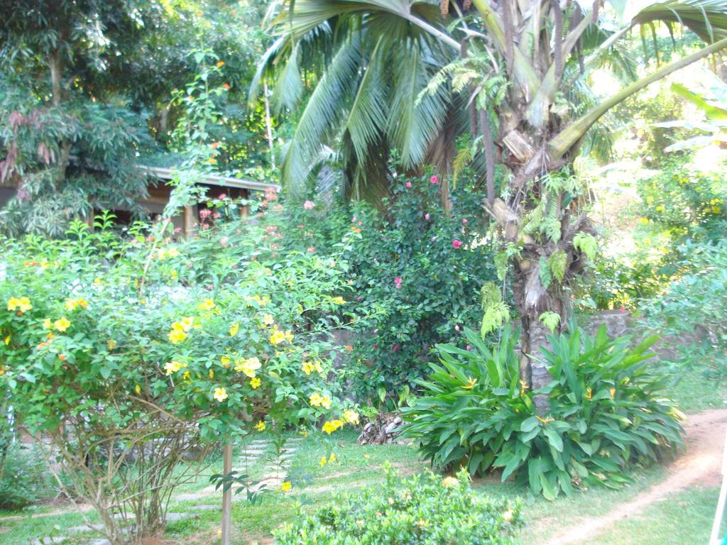 Cote Sud - Unique Villa & Bungalows Intendance Road Takamaka Room photo