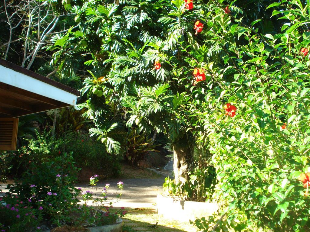 Cote Sud - Unique Villa & Bungalows Intendance Road Takamaka Room photo